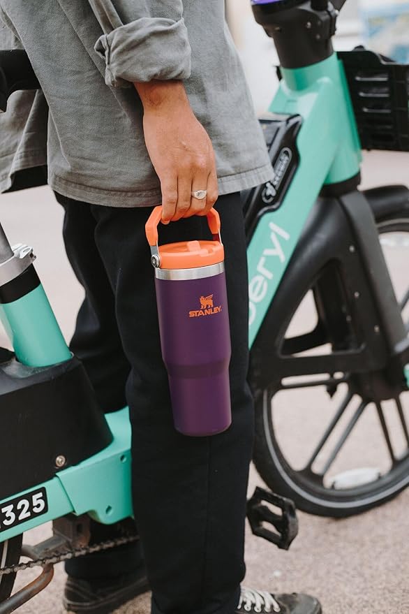 STANLEY IceFlow 2.0 Flip Straw Tumbler with Handle 20 oz | Twist On Lid and Flip Up Straw | Leak Resistant Water Bottle | Insulated Stainless Steel | BPA-Free | Coastal Teal