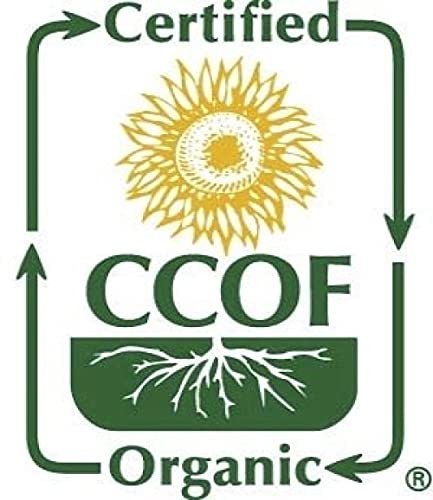 McCabe Organic Barley Flour - Barley Flour for Cooking and Baking | Rich in Fiber | USDA and CCOF Certified | Product of USA | 2 lbs (32 Oz) Pack of 3