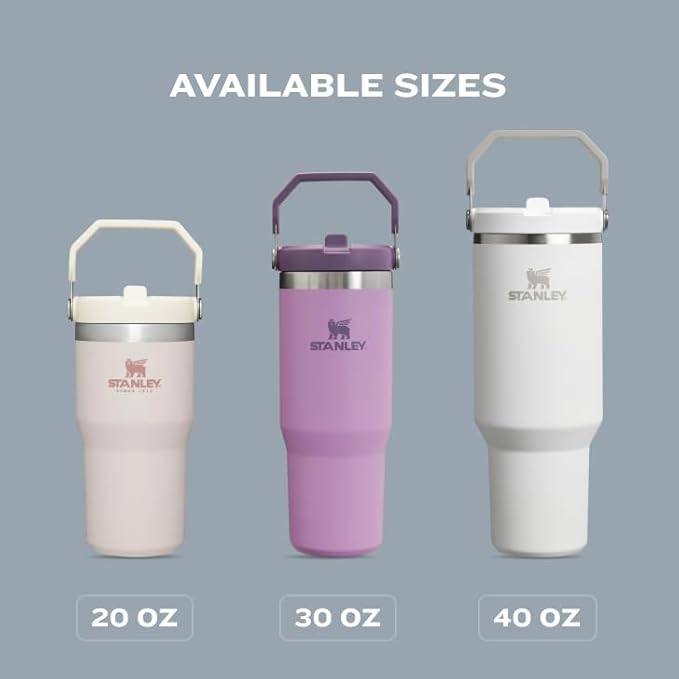STANLEY IceFlow Flip Straw Tumbler with Handle 20 oz | Twist On Lid and Flip Up Straw | Leak Resistant Water Bottle | Insulated Stainless Steel |BPA-Free | Polar
