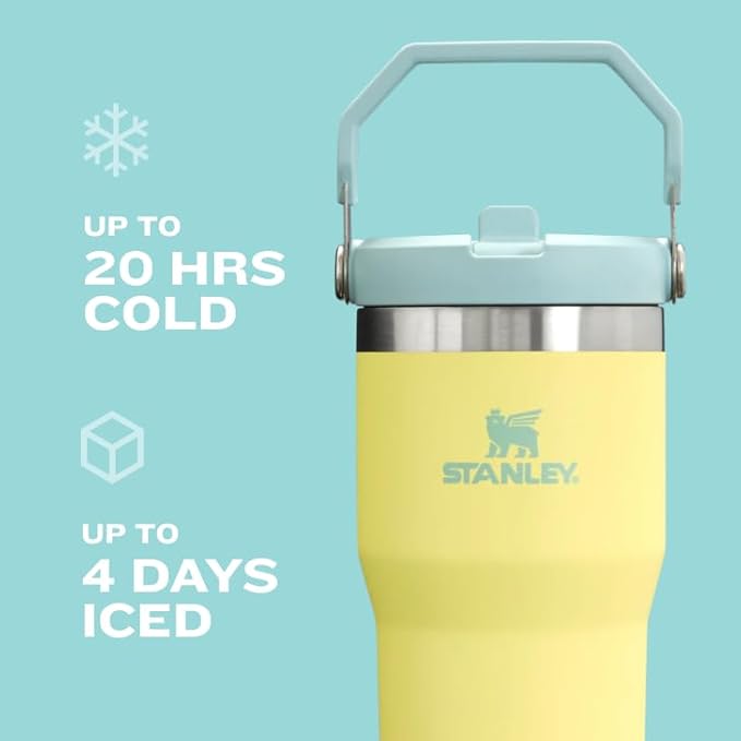 Stanley IceFlow Flip Straw Tumbler with Handle 20 oz | Twist On Lid and Flip Up Straw | Leak Resistant Water Bottle | Insulated Stainless Steel |BPA-Free | Plum