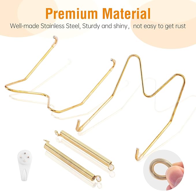 Plate Hangers for The Wall, Suitable for 8-10 inch Decorative Plate, Stainless Steel Wire Plate Holder with Wall Hooks and Rubber tip Protectors, Plate Hangers for Displaying Plates, Platter, Gold
