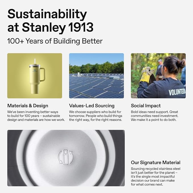 STANLEY Quencher H2.0 Tumbler with Handle and Straw 20 oz | Flowstate 3-Position Lid | Cup Holder Compatible for Travel | Insulated Stainless Steel Cup | BPA-Free | Peony