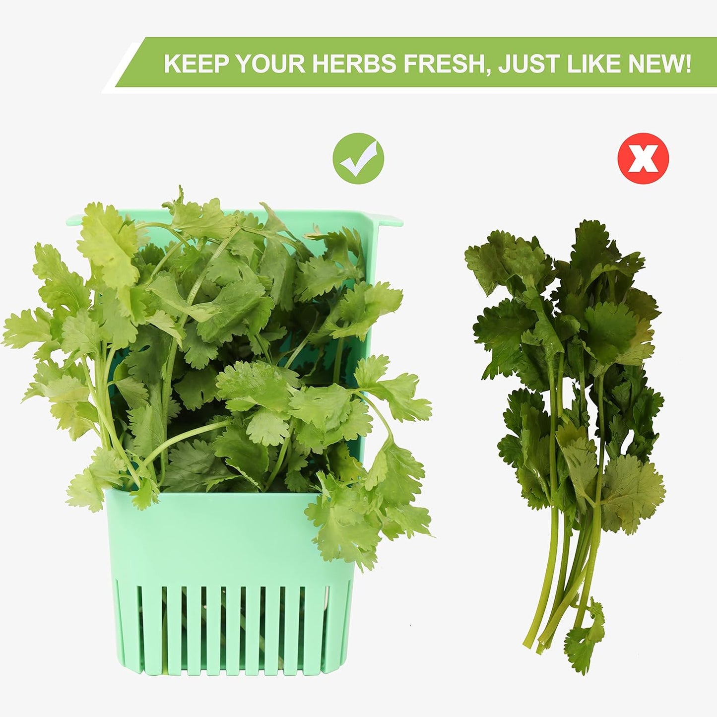 3 Pack Herb Keeper, BPA-Free Plastic Herb Saver with an Inner Basket for Cilantro, Mint, Parsley, and Asparagus, Keeps Fresh Herbs for 3 Times Longer